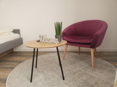 Gästehaus Alter Hirsch - Urlaub für Alle