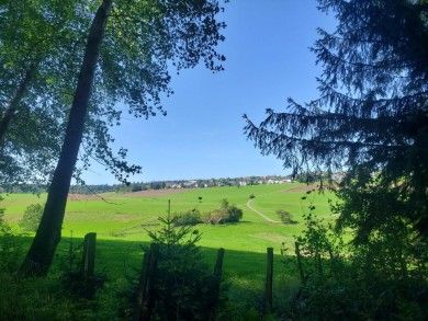 Gästehaus Alter Hirsch - Urlaub für Alle
