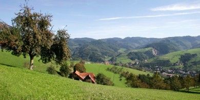 Pension Waldfrieden