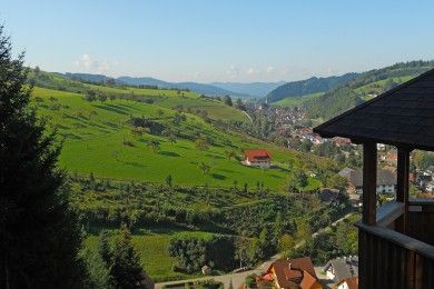 Pension Waldfrieden