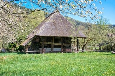 Pension Waldfrieden