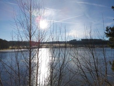 Appartement am See