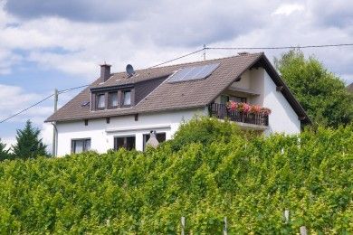 Ferienweingut Bollig