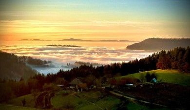 Ferienwohnungen Haus Panorama