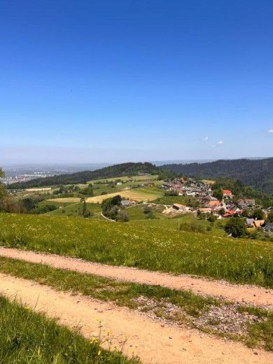 Ferienwohnungen Haus Panorama