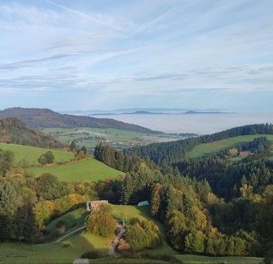 Ferienwohnungen Haus Panorama