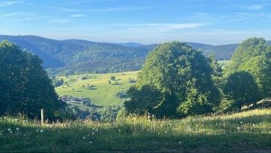 Ferienwohnungen Haus Panorama