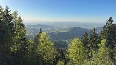 Ferienwohnungen Haus Panorama