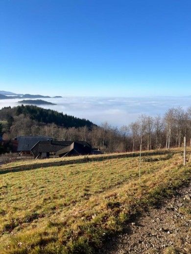 Ferienwohnungen Haus Panorama