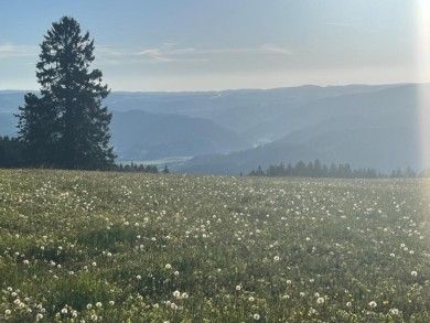 Ferienwohnungen Haus Panorama
