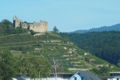 Privatweingut Schmidt