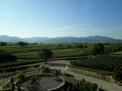 Privatweingut Schmidt