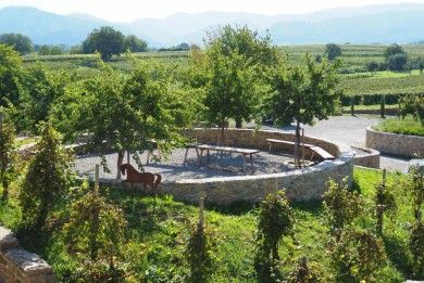 Privatweingut Schmidt