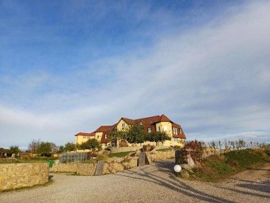 Privatweingut Schmidt