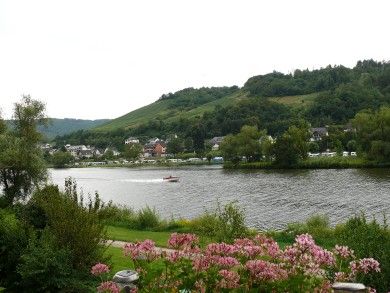 Ferienwohnungen Haus Moselufer