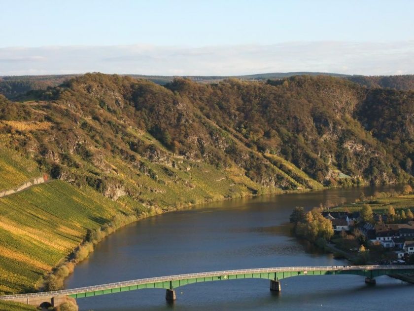 Weingut Lehnert-Veit - Gästezimmer - Straußwirtschaft - Moselgarten