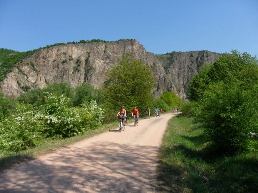 Rotenfels