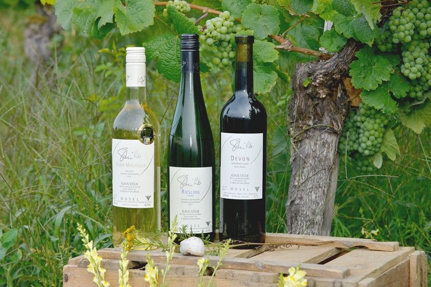Ferienwohnung Klaus Stülb, Weingut & Sectmanufaktur