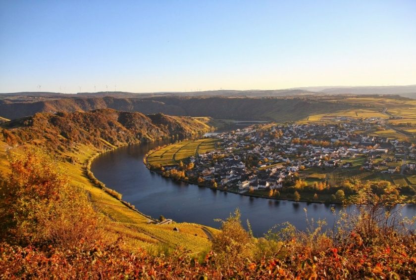 Wein und Ferienhaus Koch