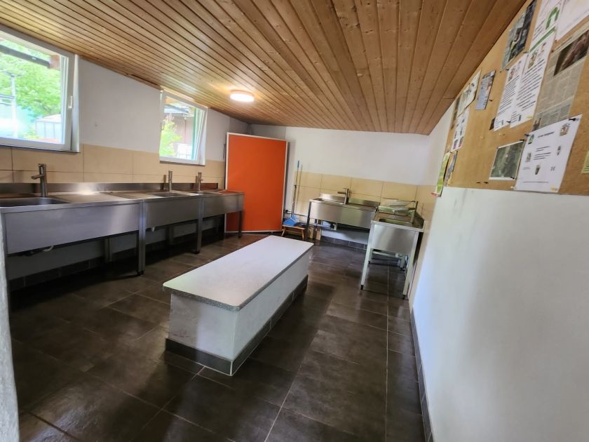 Camping Waldfrieden