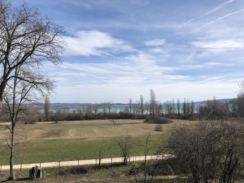Aussicht vom Haus