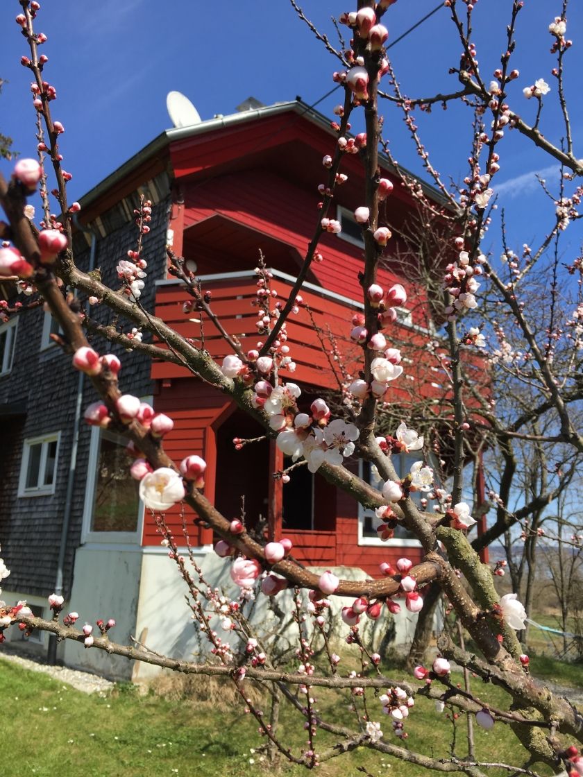 Frühling