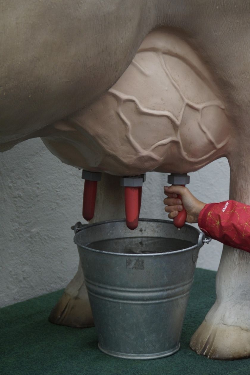 Kinder- und Jugendmuseum Donaueschingen