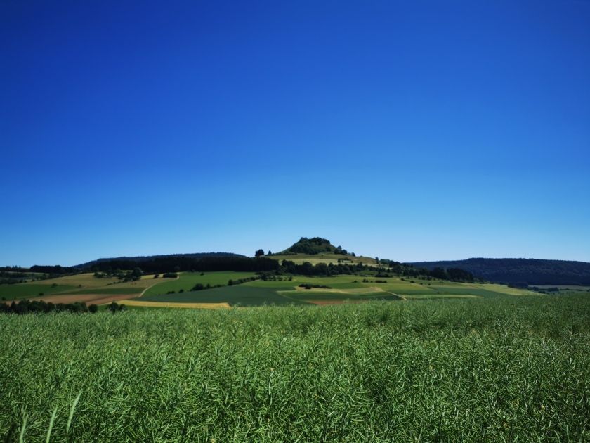 Ferienhaus Moni