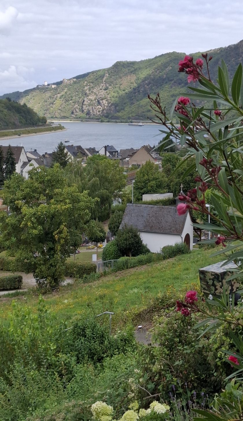 Blick zu den Burgen