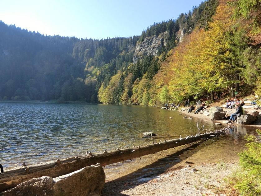 Wildsee
