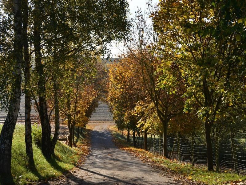 Steinäckerhof - Familienfreundlicher Bauernhof im Hunsrück Steinäckerhof - Familienfreundlicher Bauernhof im Hunsrück