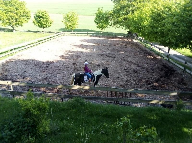 Steinäckerhof - Familienfreundlicher Bauernhof im Hunsrück Steinäckerhof - Familienfreundlicher Bauernhof im Hunsrück