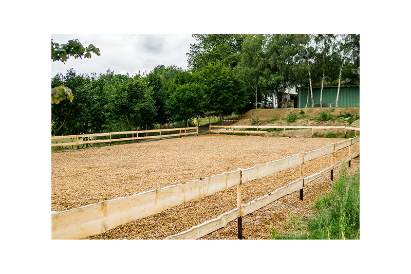 Steinäckerhof - Familienfreundlicher Bauernhof im Hunsrück Steinäckerhof - Familienfreundlicher Bauernhof im Hunsrück