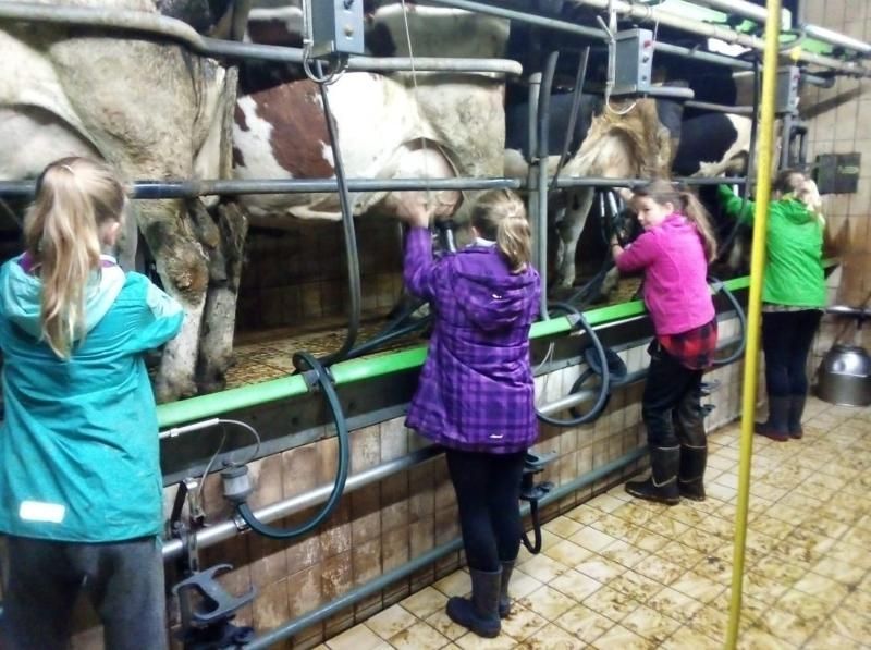 Steinäckerhof - Familienfreundlicher Bauernhof im Hunsrück Steinäckerhof - Familienfreundlicher Bauernhof im Hunsrück