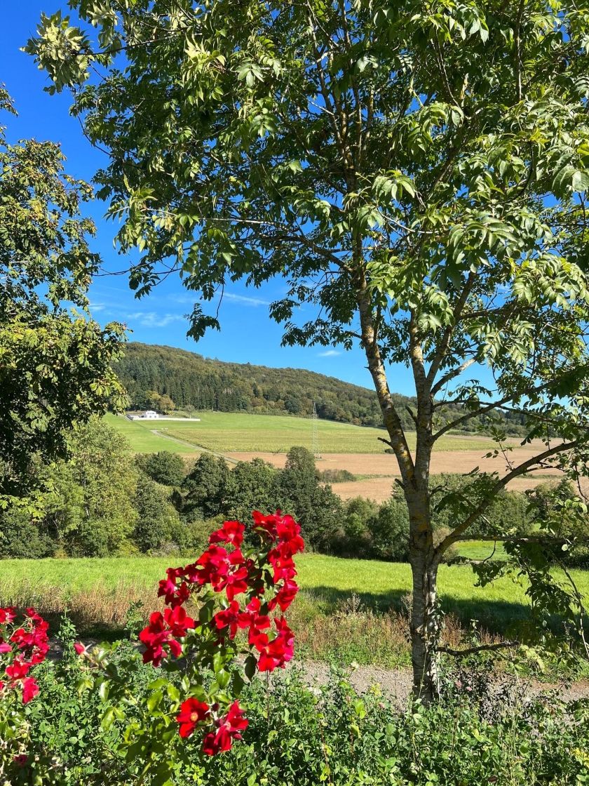 NETTEN Naturerlebnis Holz-Chalets