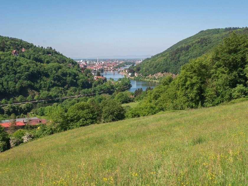 Königstuhl  Königstuhl