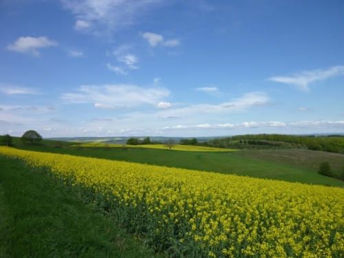 Hotel & Restaurant Reckweilerhof