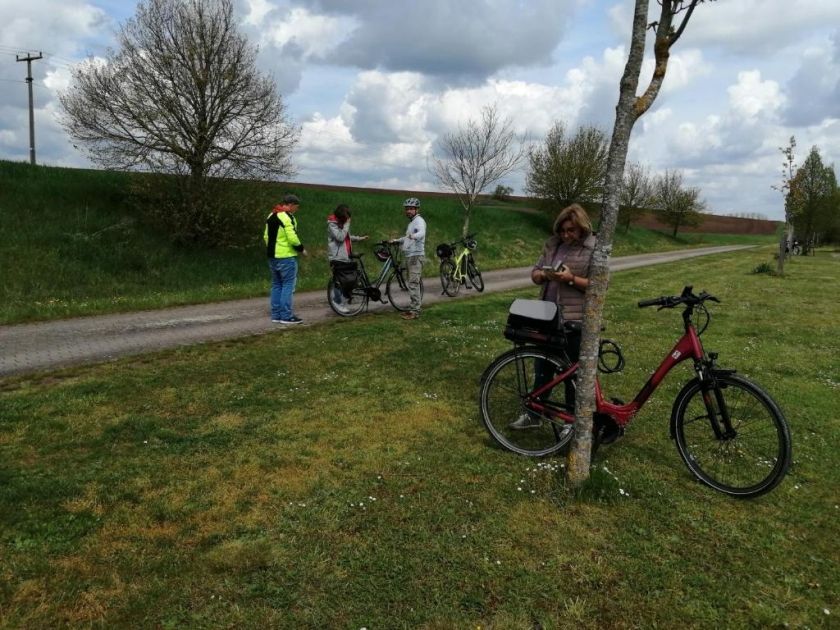 Ferienwohnungen Waldmann Ferienwohnungen Waldmann