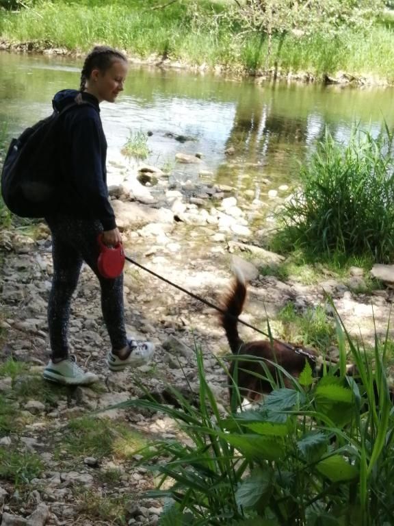 Ferienwohnungen Waldmann Ferienwohnungen Waldmann