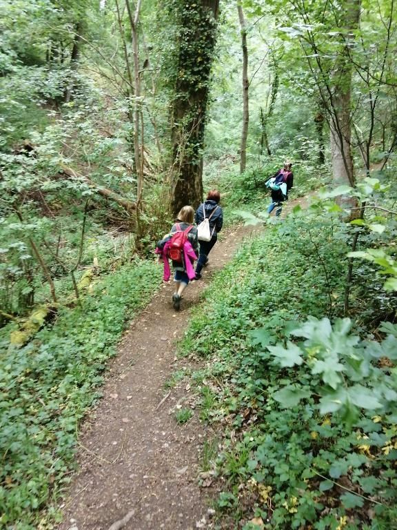 Ferienwohnungen Waldmann Ferienwohnungen Waldmann