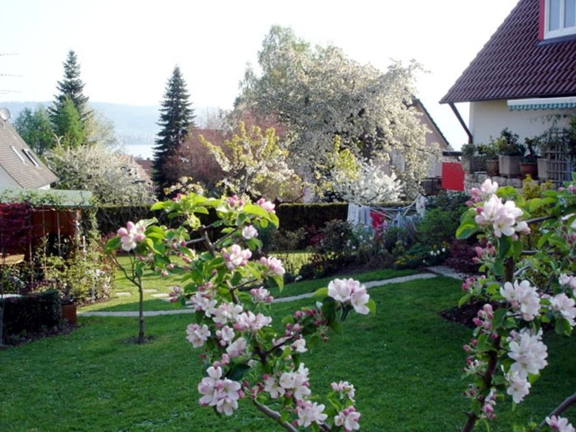 Ferienwohnung Joos Ferienwohnung Joos