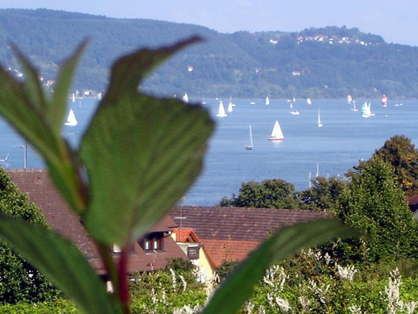 Ferienwohnung Joos Ferienwohnung Joos
