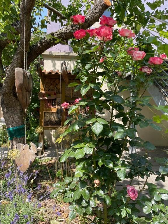 Boutique-Guesthouse Jugendstil-Hof