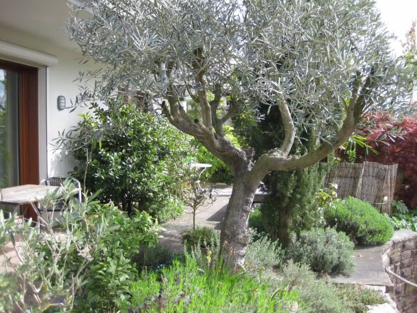 Ferienwohnungen Miramar