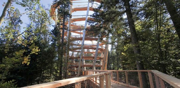 Gasthof zum Löwen Enzklösterle