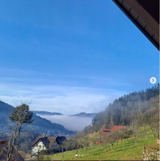 Pension Bäuerle Hof