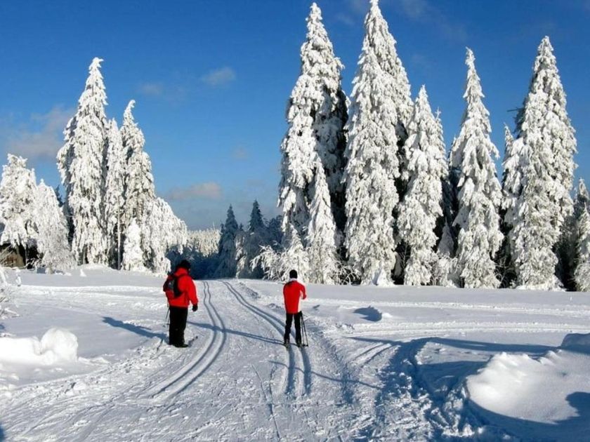 Ferienwohnung Landhaus Seiler