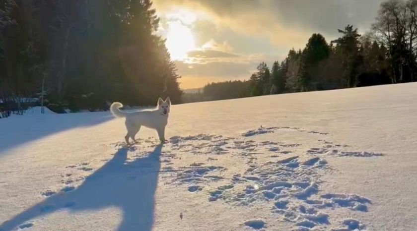 Ferienwohnung Tannenduft