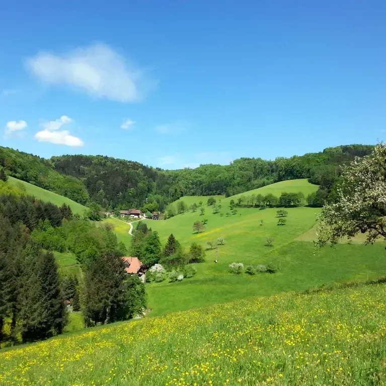 Vogtbenedikthof im Schwarzwald