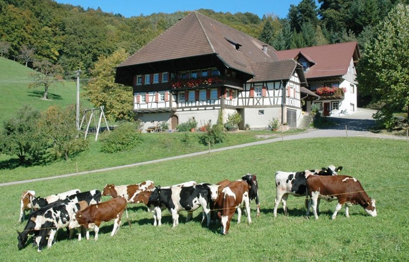Vogtbenedikthof im Schwarzwald